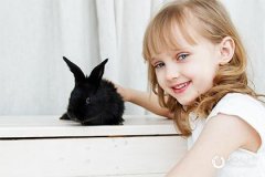 一胎属兔二胎属什么好 属兔的几月出生最好